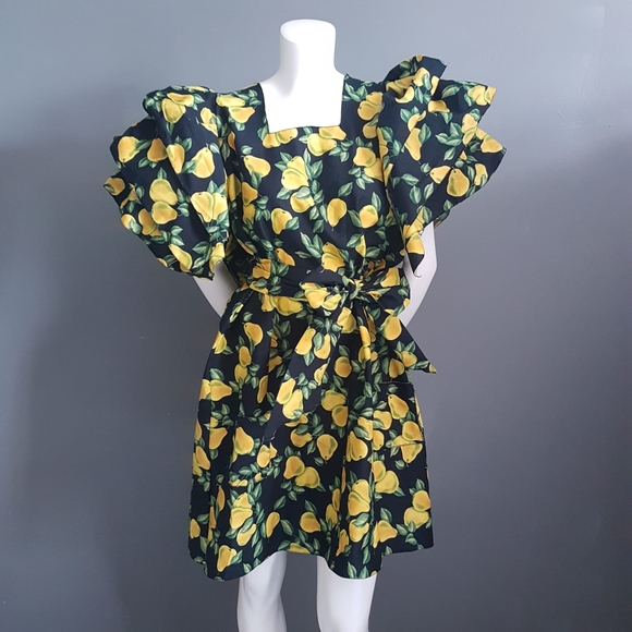 Eleanor Geraldine Dresses & Skirts - Eleanor Geraldine - 🍐 Pear Print Mini Dress 🍐